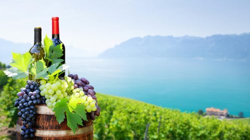 red-white-wine-bottles-grapes-wine-barrel-min